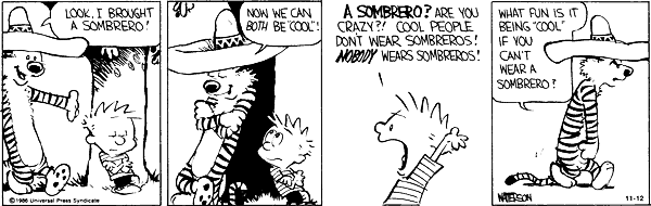 calvin_and_hobbes-sombrero.png