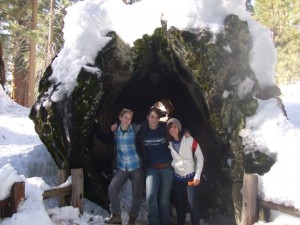 Some friends and me inside a fallen redwood during my Jan term  in California