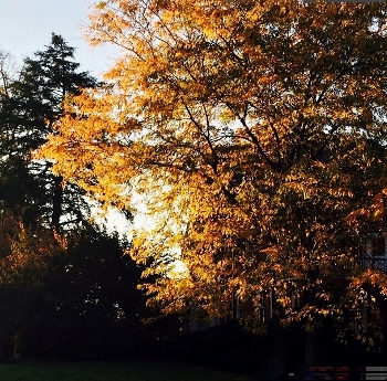 Friday was a beautiful fall day at McDaniel--perfect for a fall visit day.